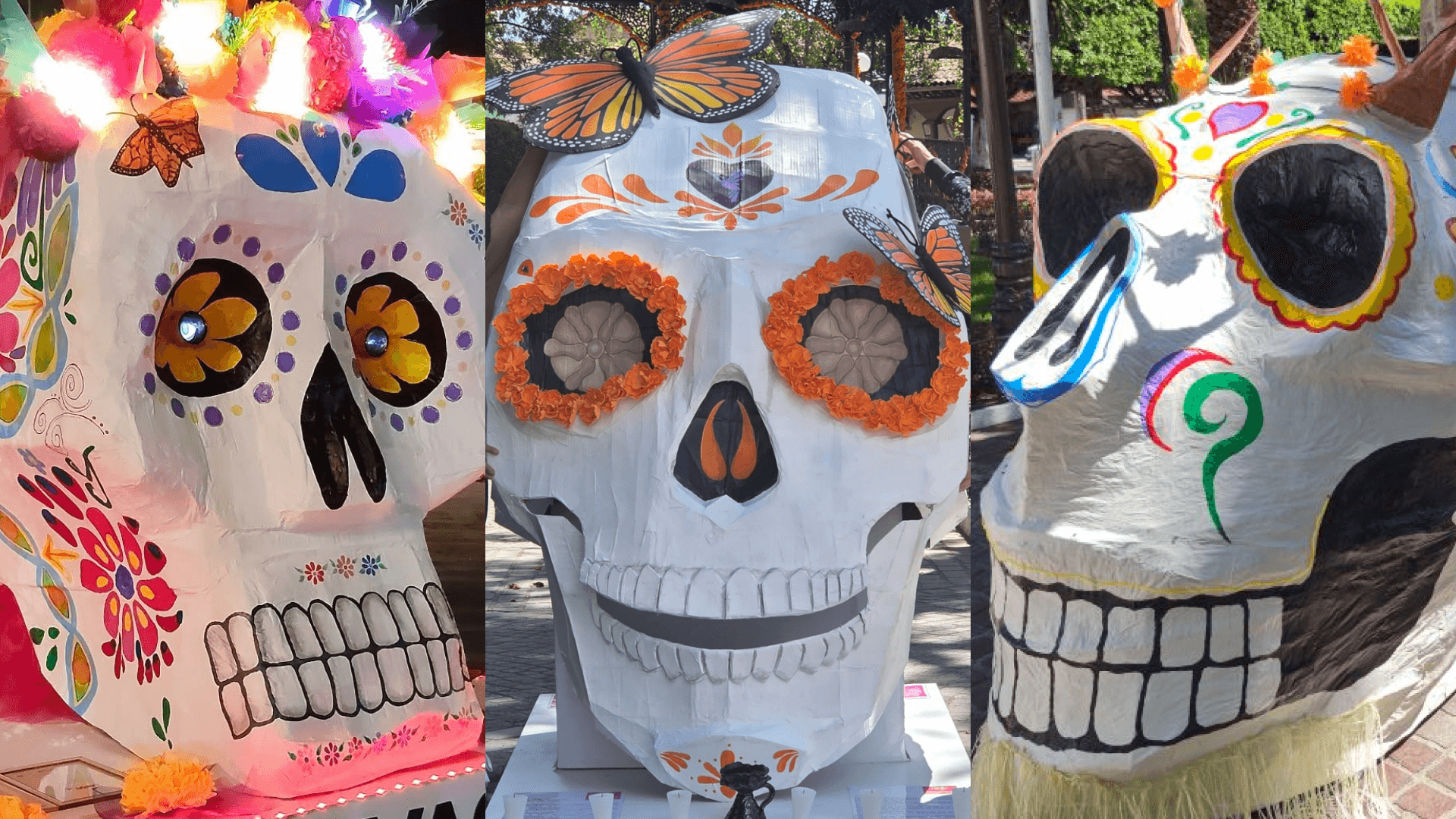 Cráneos gigantes del concurso de Día de Muertos en Zacapu